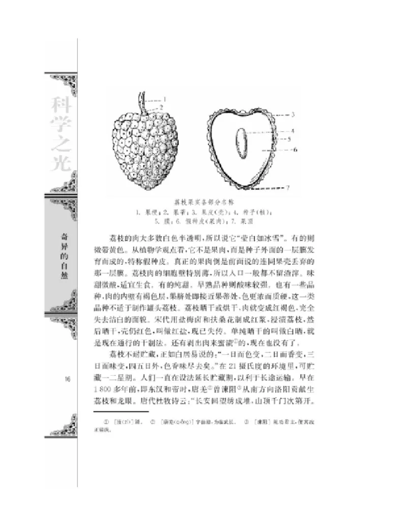 3苏教版语文必修五_4-教培资料-26年最新资料-同步更新_初中高中教资_03科三专项（进去保存报考的学科即可）_02科三专项（笔记真题思维导图教学设计版本二）