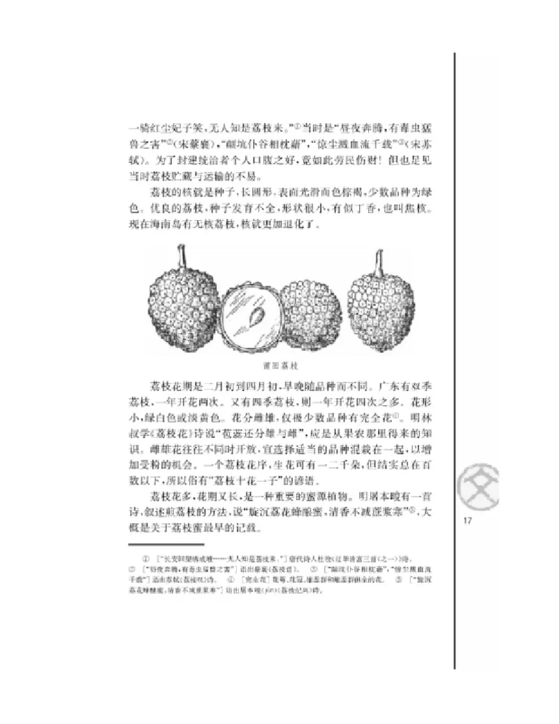 3苏教版语文必修五_4-教培资料-26年最新资料-同步更新_初中高中教资_03科三专项（进去保存报考的学科即可）_02科三专项（笔记真题思维导图教学设计版本二）