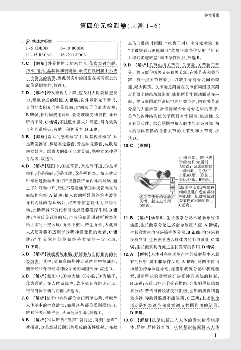 2026《万唯大小卷&bull;生物》8全大卷详解详析(RJ)_2026万唯系列预习复习_2026版初中《万唯大小卷》8年级上册（全科多版本）_2026《万唯大小卷&bull;生物》8全(RJ)