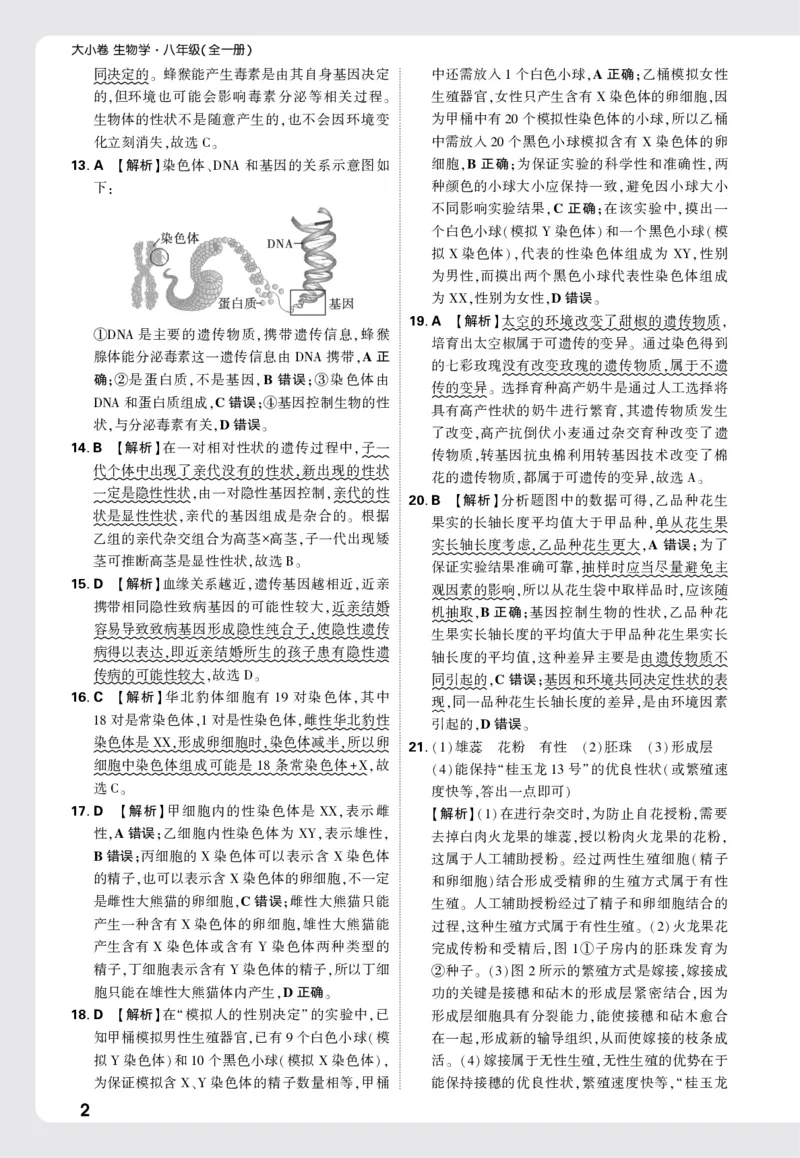 2026《万唯大小卷&bull;生物》8全大卷详解详析(RJ)_2026万唯系列预习复习_2026版初中《万唯大小卷》8年级上册（全科多版本）_2026《万唯大小卷&bull;生物》8全(RJ)