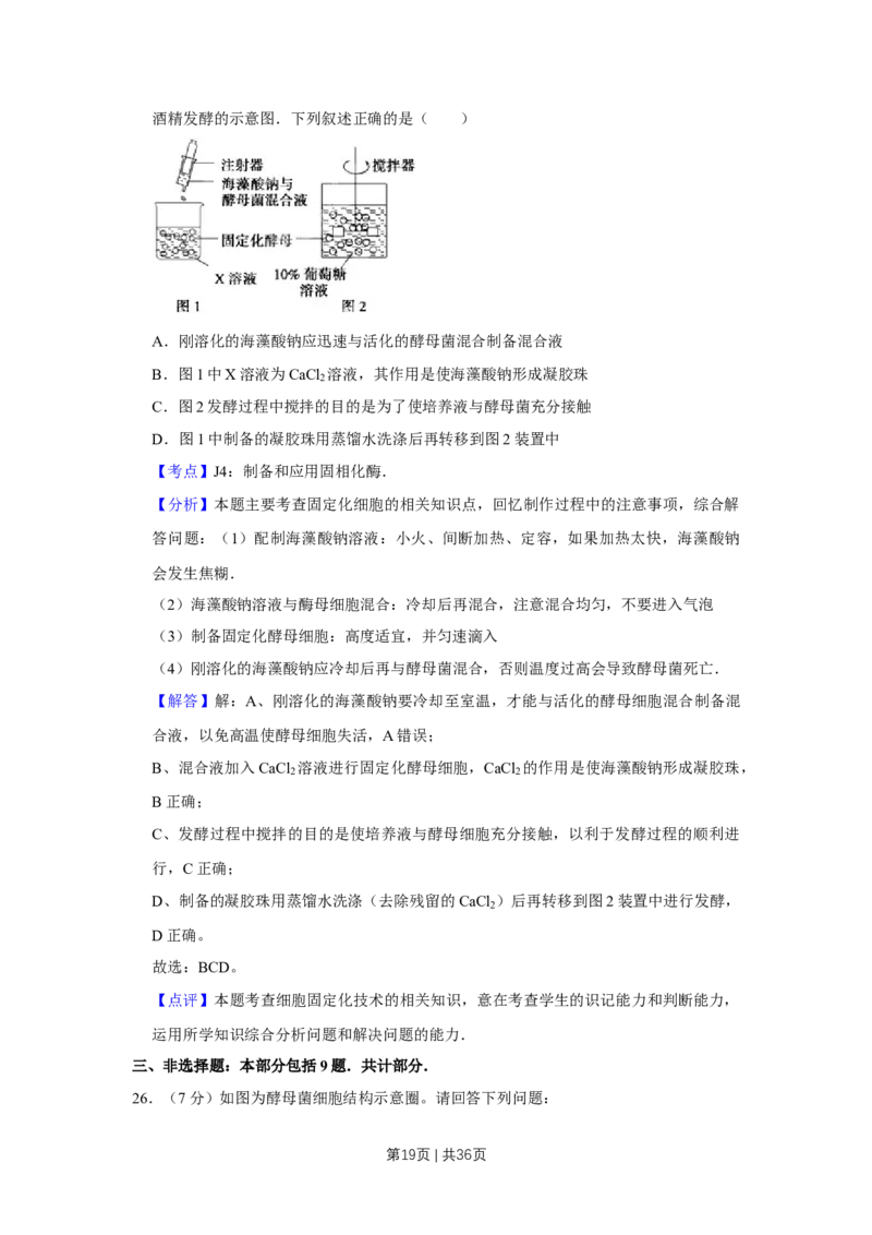 2010年高考生物试卷（江苏）（解析卷）_1.高考2025全国各省真题+答案_01.2008-2024全国高考真题（按省份分类）_10.江苏_2008-2024&middot;（江苏）生物高考真题