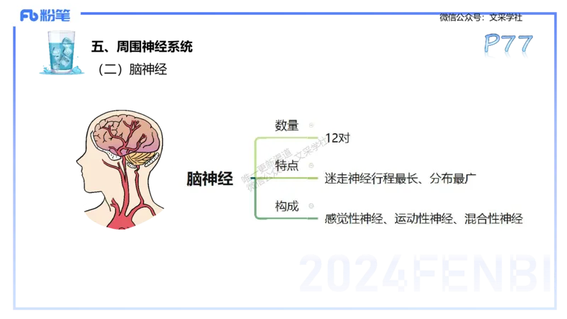 25上理论精讲&mdash;运动生理学1-陈晶晶_4-教培资料-26年最新资料-同步更新_初中高中教资_03科三专项（进去保存报考的学科即可）_初中_初中体育-通关资料包_3.课程FB系统班课程