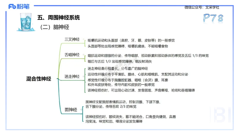 25上理论精讲&mdash;运动生理学1-陈晶晶_4-教培资料-26年最新资料-同步更新_初中高中教资_03科三专项（进去保存报考的学科即可）_初中_初中体育-通关资料包_3.课程FB系统班课程