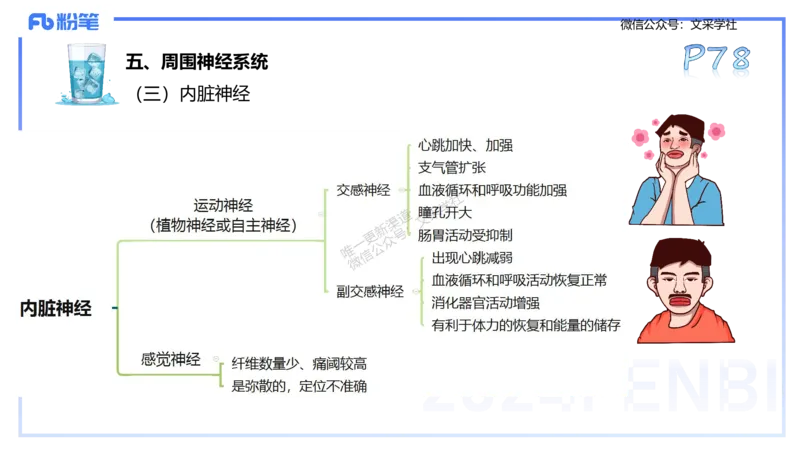 25上理论精讲&mdash;运动生理学1-陈晶晶_4-教培资料-26年最新资料-同步更新_初中高中教资_03科三专项（进去保存报考的学科即可）_初中_初中体育-通关资料包_3.课程FB系统班课程