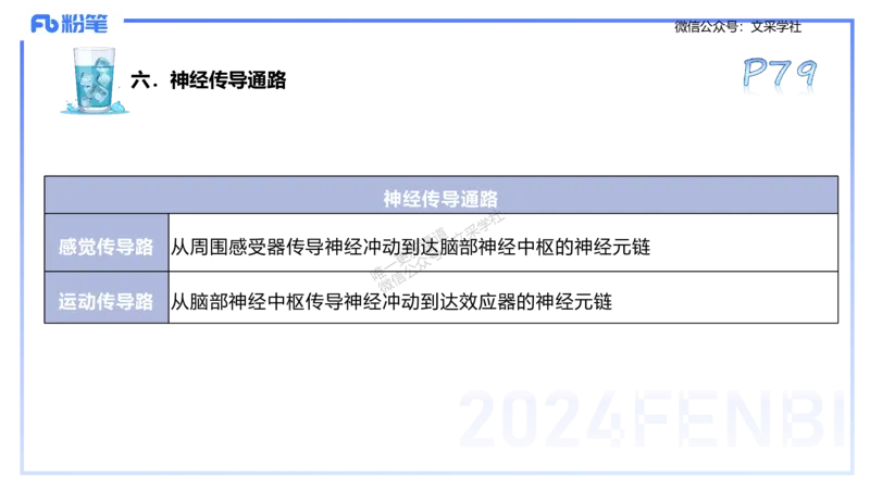 25上理论精讲&mdash;运动生理学1-陈晶晶_4-教培资料-26年最新资料-同步更新_初中高中教资_03科三专项（进去保存报考的学科即可）_初中_初中体育-通关资料包_3.课程FB系统班课程