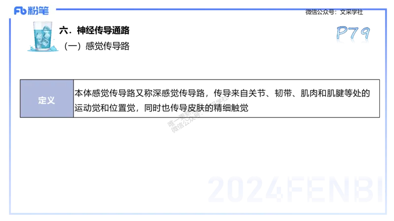 25上理论精讲&mdash;运动生理学1-陈晶晶_4-教培资料-26年最新资料-同步更新_初中高中教资_03科三专项（进去保存报考的学科即可）_初中_初中体育-通关资料包_3.课程FB系统班课程