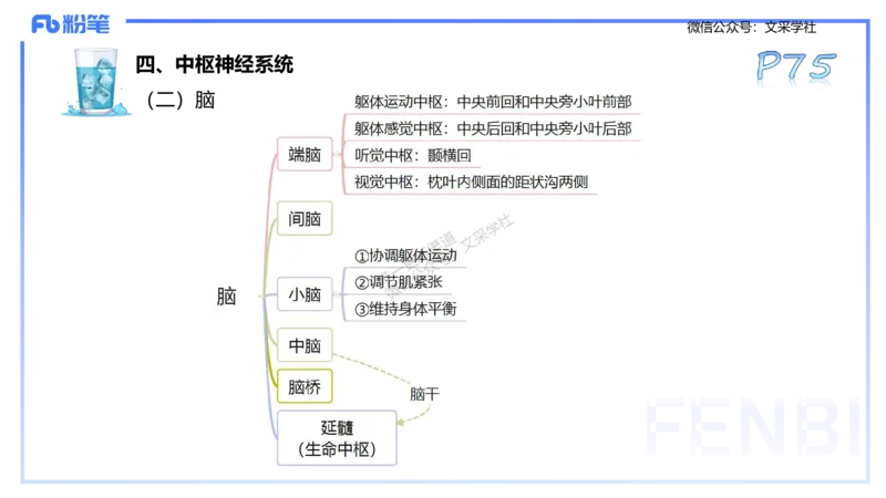 25上理论精讲&mdash;运动生理学1-陈晶晶_4-教培资料-26年最新资料-同步更新_初中高中教资_03科三专项（进去保存报考的学科即可）_初中_初中体育-通关资料包_3.课程FB系统班课程