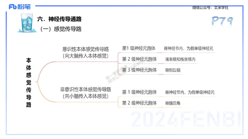 25上理论精讲&mdash;运动生理学1-陈晶晶_4-教培资料-26年最新资料-同步更新_初中高中教资_03科三专项（进去保存报考的学科即可）_初中_初中体育-通关资料包_3.课程FB系统班课程