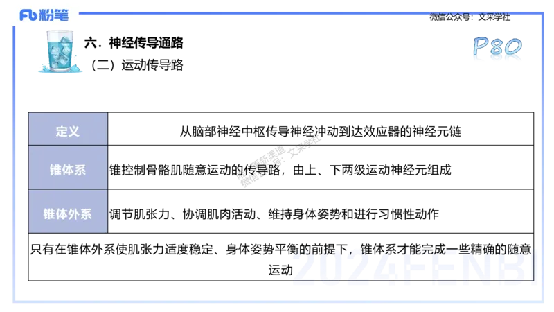 25上理论精讲&mdash;运动生理学1-陈晶晶_4-教培资料-26年最新资料-同步更新_初中高中教资_03科三专项（进去保存报考的学科即可）_初中_初中体育-通关资料包_3.课程FB系统班课程