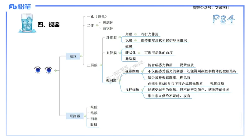 25上理论精讲&mdash;运动生理学1-陈晶晶_4-教培资料-26年最新资料-同步更新_初中高中教资_03科三专项（进去保存报考的学科即可）_初中_初中体育-通关资料包_3.课程FB系统班课程