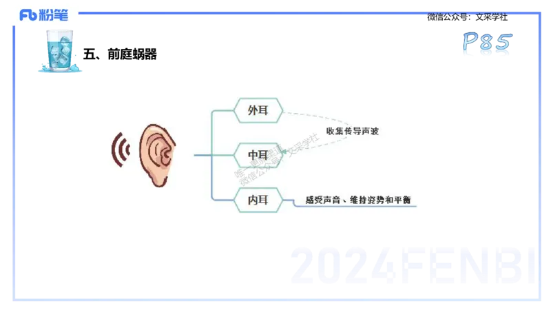 25上理论精讲&mdash;运动生理学1-陈晶晶_4-教培资料-26年最新资料-同步更新_初中高中教资_03科三专项（进去保存报考的学科即可）_初中_初中体育-通关资料包_3.课程FB系统班课程