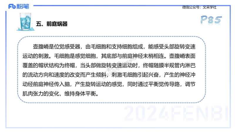 25上理论精讲&mdash;运动生理学1-陈晶晶_4-教培资料-26年最新资料-同步更新_初中高中教资_03科三专项（进去保存报考的学科即可）_初中_初中体育-通关资料包_3.课程FB系统班课程