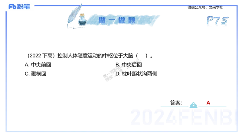 25上理论精讲&mdash;运动生理学1-陈晶晶_4-教培资料-26年最新资料-同步更新_初中高中教资_03科三专项（进去保存报考的学科即可）_初中_初中体育-通关资料包_3.课程FB系统班课程