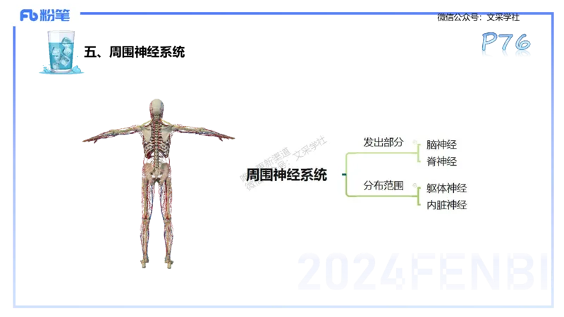 25上理论精讲&mdash;运动生理学1-陈晶晶_4-教培资料-26年最新资料-同步更新_初中高中教资_03科三专项（进去保存报考的学科即可）_初中_初中体育-通关资料包_3.课程FB系统班课程