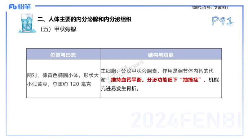 25上理论精讲&mdash;运动生理学1-陈晶晶_4-教培资料-26年最新资料-同步更新_初中高中教资_03科三专项（进去保存报考的学科即可）_初中_初中体育-通关资料包_3.课程FB系统班课程