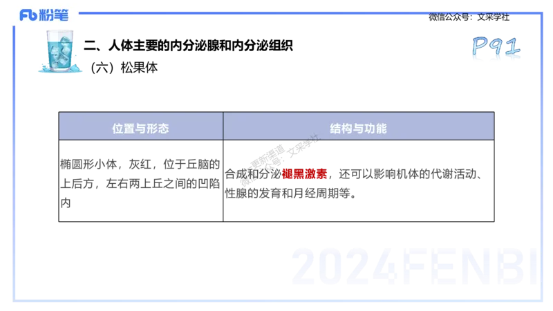25上理论精讲&mdash;运动生理学1-陈晶晶_4-教培资料-26年最新资料-同步更新_初中高中教资_03科三专项（进去保存报考的学科即可）_初中_初中体育-通关资料包_3.课程FB系统班课程