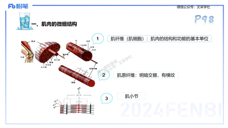 25上理论精讲&mdash;运动生理学1-陈晶晶_4-教培资料-26年最新资料-同步更新_初中高中教资_03科三专项（进去保存报考的学科即可）_初中_初中体育-通关资料包_3.课程FB系统班课程