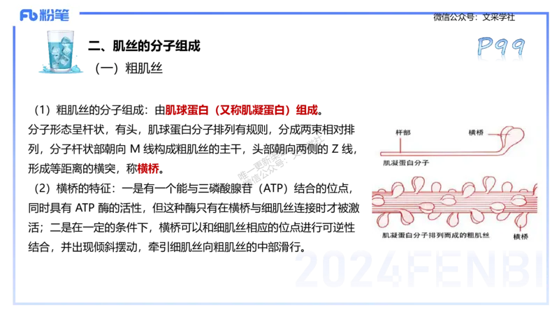 25上理论精讲&mdash;运动生理学1-陈晶晶_4-教培资料-26年最新资料-同步更新_初中高中教资_03科三专项（进去保存报考的学科即可）_初中_初中体育-通关资料包_3.课程FB系统班课程