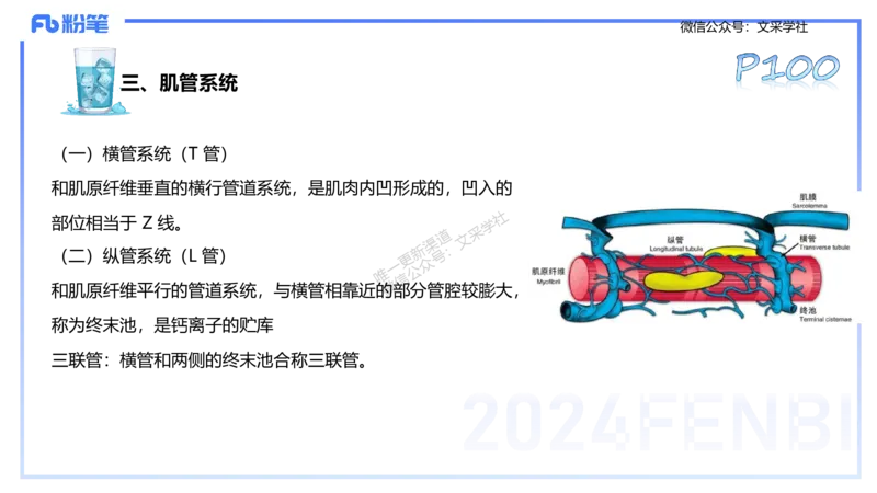 25上理论精讲&mdash;运动生理学1-陈晶晶_4-教培资料-26年最新资料-同步更新_初中高中教资_03科三专项（进去保存报考的学科即可）_初中_初中体育-通关资料包_3.课程FB系统班课程
