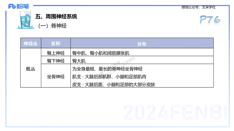 25上理论精讲&mdash;运动生理学1-陈晶晶_4-教培资料-26年最新资料-同步更新_初中高中教资_03科三专项（进去保存报考的学科即可）_初中_初中体育-通关资料包_3.课程FB系统班课程