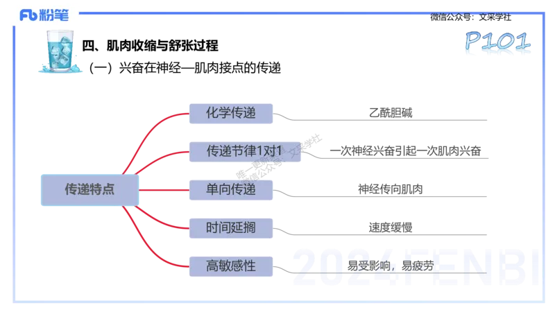 25上理论精讲&mdash;运动生理学1-陈晶晶_4-教培资料-26年最新资料-同步更新_初中高中教资_03科三专项（进去保存报考的学科即可）_初中_初中体育-通关资料包_3.课程FB系统班课程