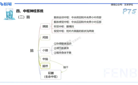 25上理论精讲&mdash;运动生理学1-陈晶晶_4-教培资料-26年最新资料-同步更新_初中高中教资_03科三专项（进去保存报考的学科即可）_初中_初中体育-通关资料包_3.课程FB系统班课程
