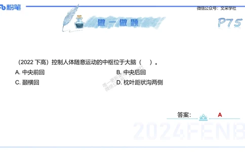 25上理论精讲&mdash;运动生理学1-陈晶晶_4-教培资料-26年最新资料-同步更新_初中高中教资_03科三专项（进去保存报考的学科即可）_初中_初中体育-通关资料包_3.课程FB系统班课程