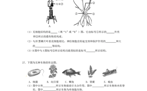2013年长沙市中考生物试题和答案_中考真题_8.生物中考真题2015-2024年_地区卷_湖南省_湖南长沙生物08-22