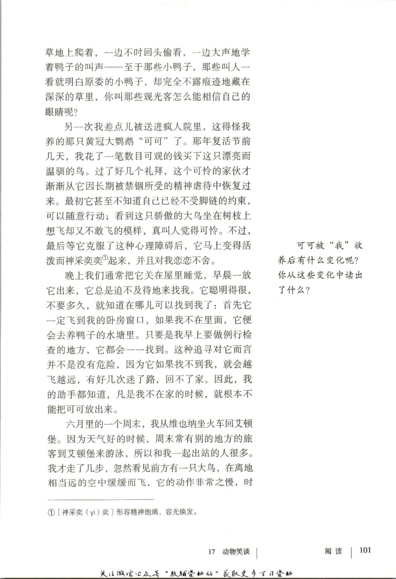 七年级上册语文五四制电子课本_4-教培资料-26年最新资料-同步更新_初中高中教资_03科三专项（进去保存报考的学科即可）_02科三专项（笔记真题思维导图教学设计版本二）