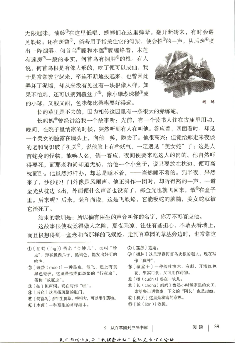 七年级上册语文五四制电子课本_4-教培资料-26年最新资料-同步更新_初中高中教资_03科三专项（进去保存报考的学科即可）_02科三专项（笔记真题思维导图教学设计版本二）