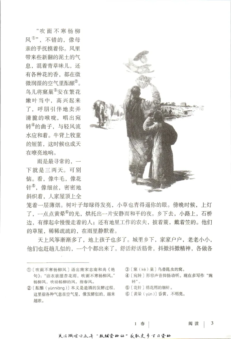 七年级上册语文五四制电子课本_4-教培资料-26年最新资料-同步更新_初中高中教资_03科三专项（进去保存报考的学科即可）_02科三专项（笔记真题思维导图教学设计版本二）