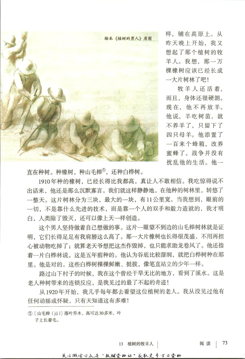 七年级上册语文五四制电子课本_4-教培资料-26年最新资料-同步更新_初中高中教资_03科三专项（进去保存报考的学科即可）_02科三专项（笔记真题思维导图教学设计版本二）