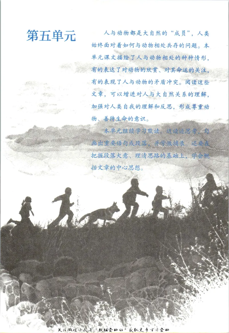 七年级上册语文五四制电子课本_4-教培资料-26年最新资料-同步更新_初中高中教资_03科三专项（进去保存报考的学科即可）_02科三专项（笔记真题思维导图教学设计版本二）