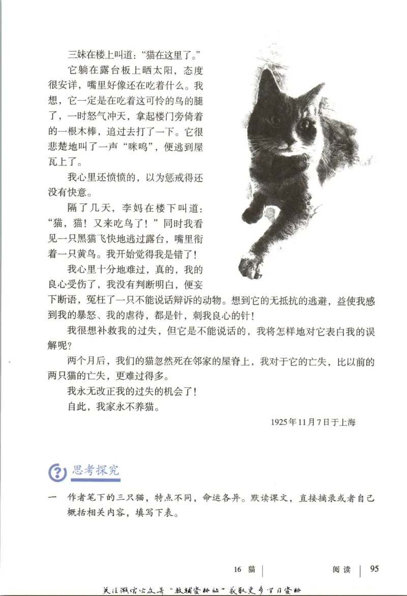 七年级上册语文五四制电子课本_4-教培资料-26年最新资料-同步更新_初中高中教资_03科三专项（进去保存报考的学科即可）_02科三专项（笔记真题思维导图教学设计版本二）