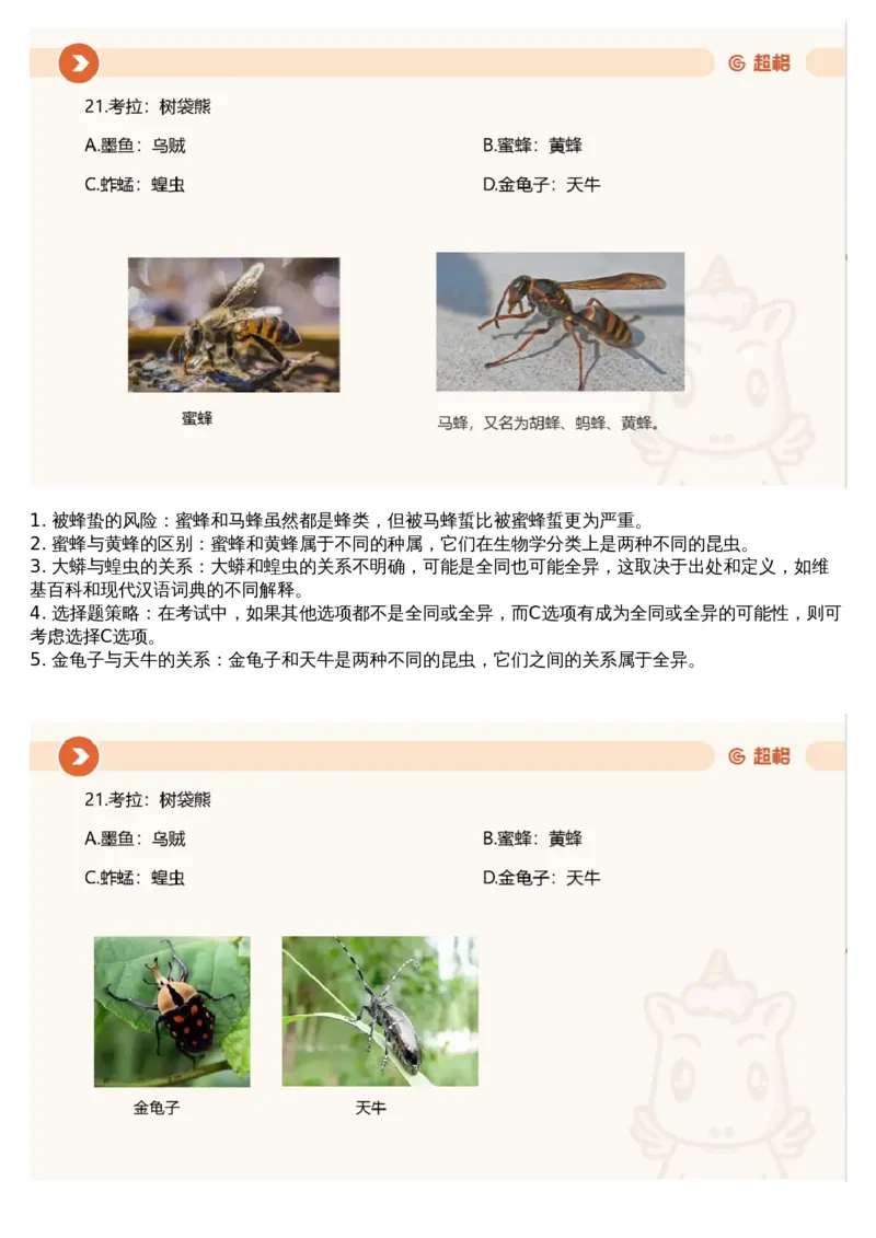 23.判断套题讲解5_课件_2026考公资料_（05）超格_行测申论2025超格合集(行测&申论&政治理论)_行测申论2025省考超格超大杯刷题课（五合一）_超格五合一文字解析版_判断推理_判断