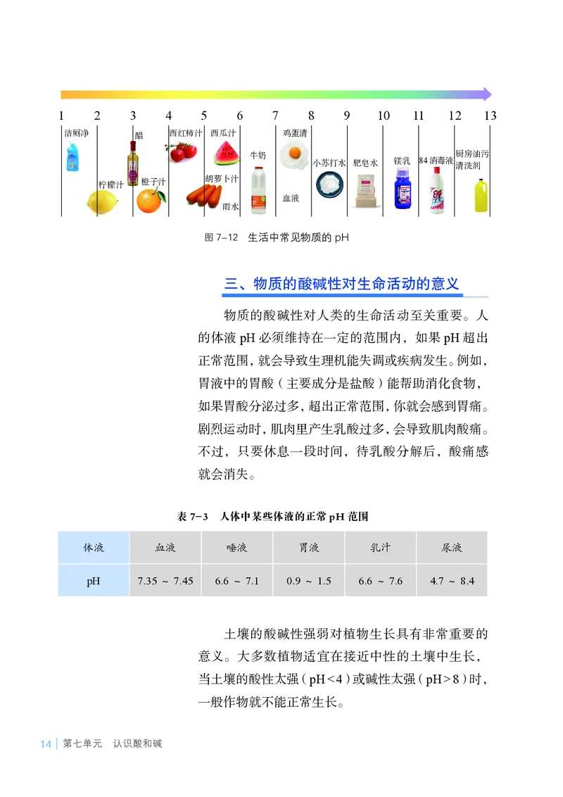 25春-鲁教版9年级化学下册电子课本_4-教培资料-26年最新资料-同步更新_初中高中教资_03科三专项（进去保存报考的学科即可）_02科三专项（笔记真题思维导图教学设计版本二）