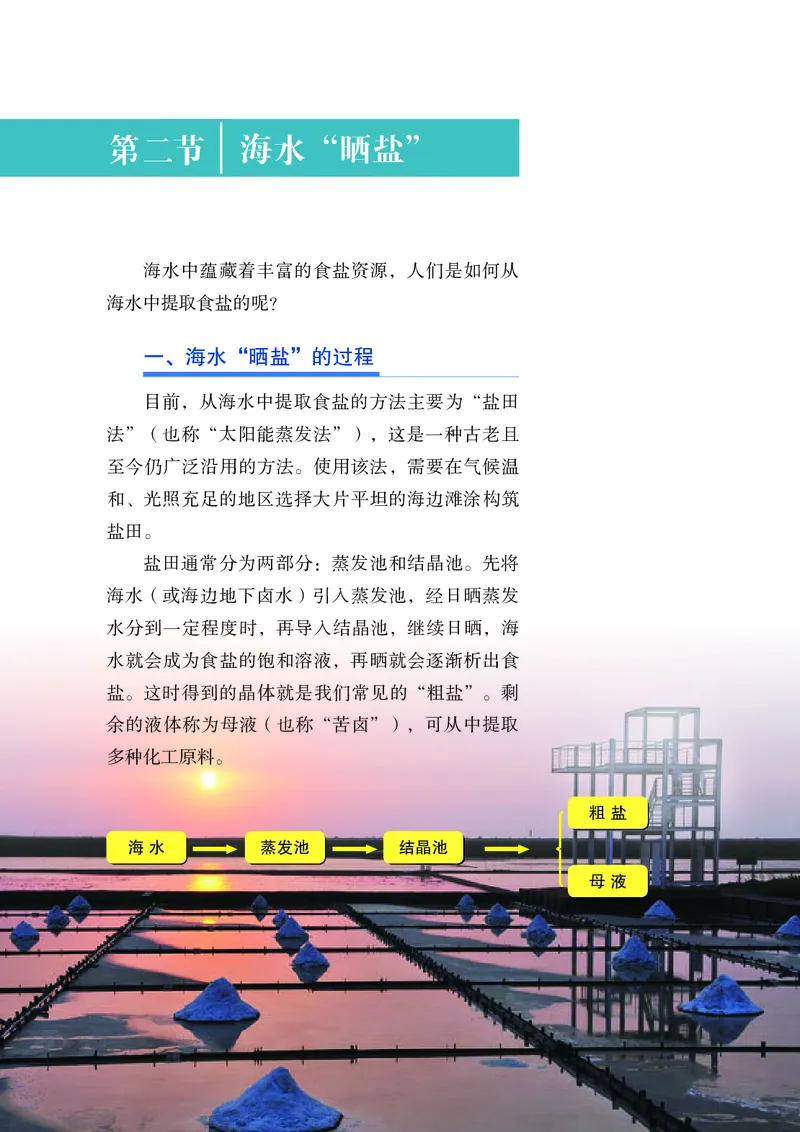 25春-鲁教版9年级化学下册电子课本_4-教培资料-26年最新资料-同步更新_初中高中教资_03科三专项（进去保存报考的学科即可）_02科三专项（笔记真题思维导图教学设计版本二）