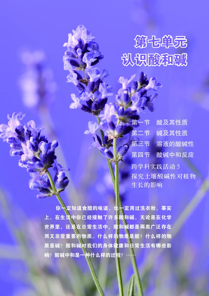 25春-鲁教版9年级化学下册电子课本_4-教培资料-26年最新资料-同步更新_初中高中教资_03科三专项（进去保存报考的学科即可）_02科三专项（笔记真题思维导图教学设计版本二）