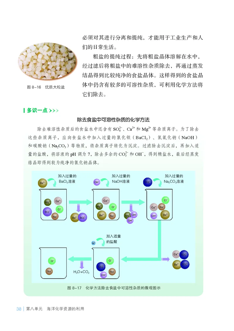 25春-鲁教版9年级化学下册电子课本_4-教培资料-26年最新资料-同步更新_初中高中教资_03科三专项（进去保存报考的学科即可）_02科三专项（笔记真题思维导图教学设计版本二）