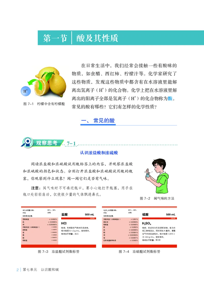 25春-鲁教版9年级化学下册电子课本_4-教培资料-26年最新资料-同步更新_初中高中教资_03科三专项（进去保存报考的学科即可）_02科三专项（笔记真题思维导图教学设计版本二）