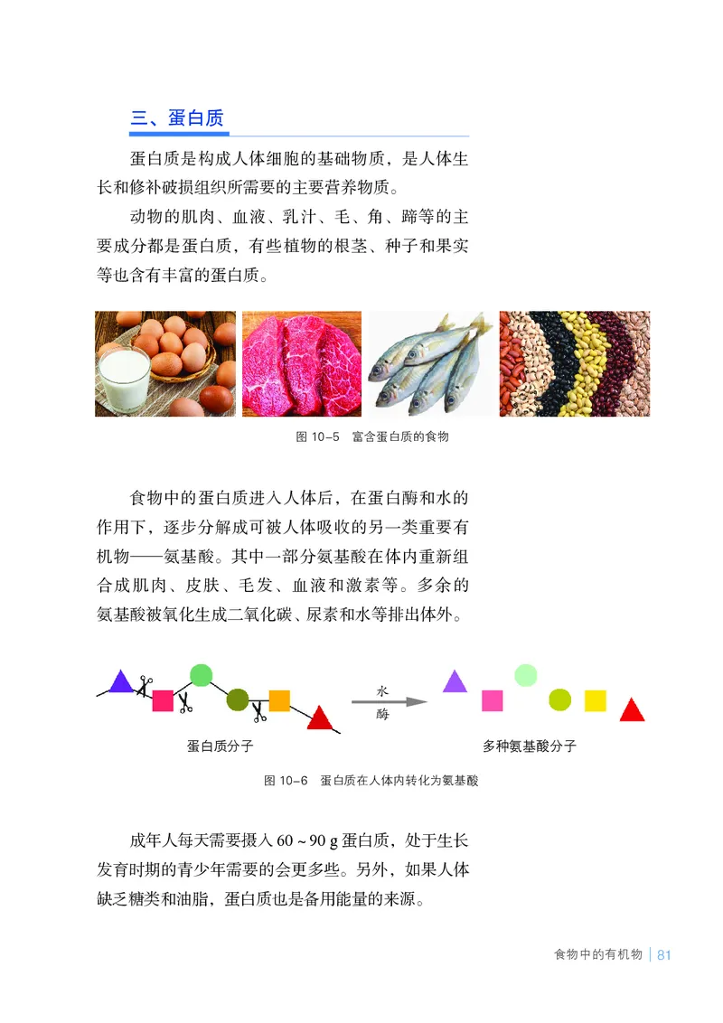 25春-鲁教版9年级化学下册电子课本_4-教培资料-26年最新资料-同步更新_初中高中教资_03科三专项（进去保存报考的学科即可）_02科三专项（笔记真题思维导图教学设计版本二）