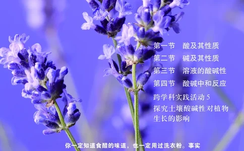 25春-鲁教版9年级化学下册电子课本_4-教培资料-26年最新资料-同步更新_初中高中教资_03科三专项（进去保存报考的学科即可）_02科三专项（笔记真题思维导图教学设计版本二）