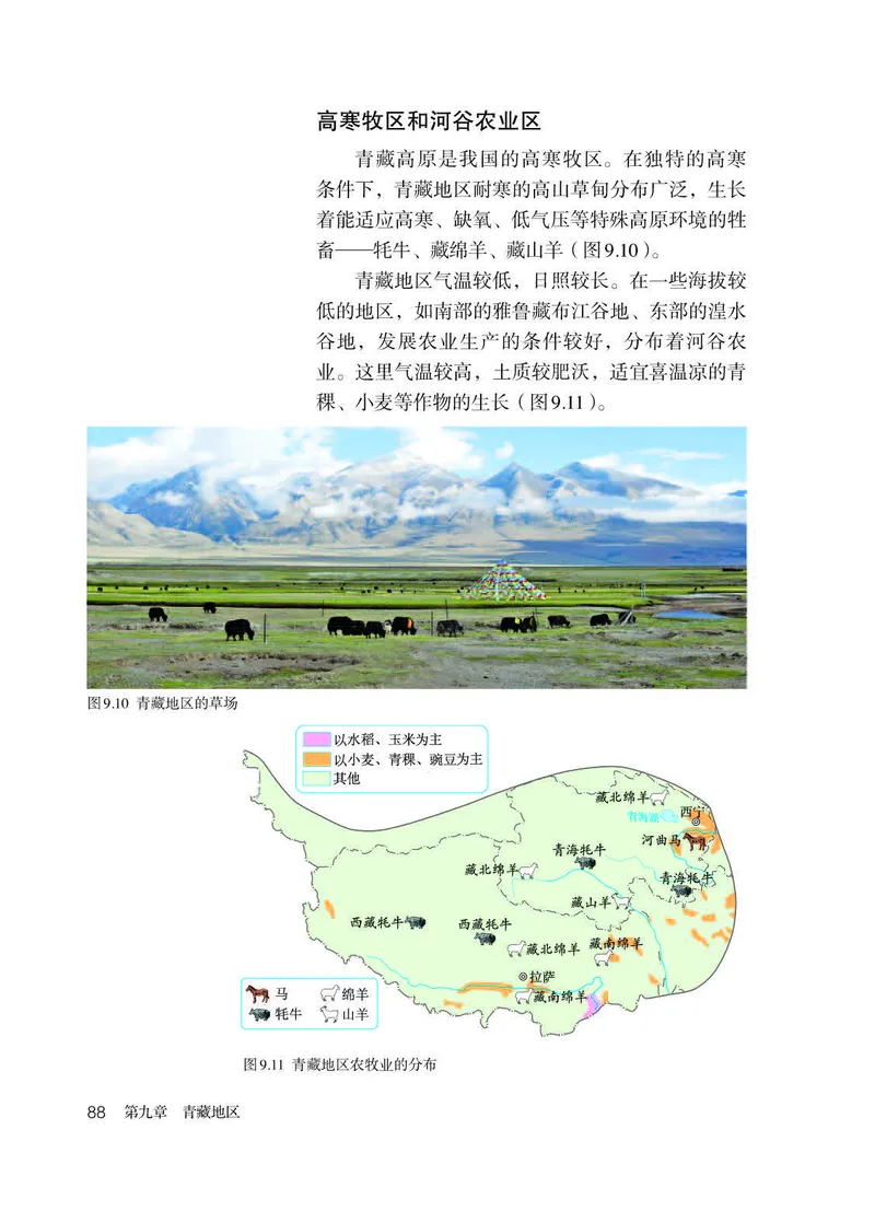 人教版8年级地理下册高清教材_4-教培资料-26年最新资料-同步更新_初中高中教资_03科三专项（进去保存报考的学科即可）_02科三专项（笔记真题思维导图教学设计版本二）
