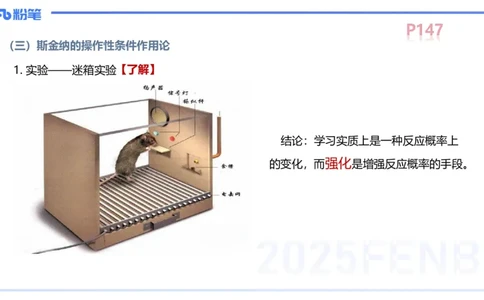 中学资格证科目二理论精讲11-陈耳东_4-教培资料-26年最新资料-同步更新_初中高中教资_2025上中学教资笔试_0225上-教育知识与能力FB网课_2.理论精讲_讲义