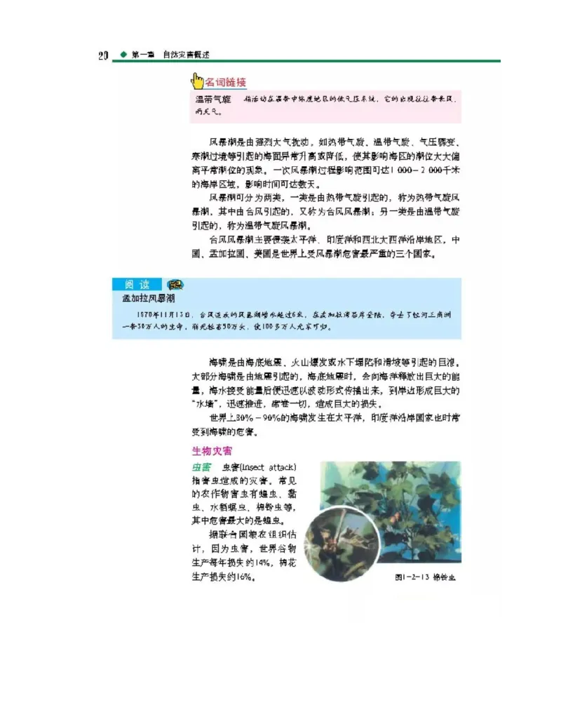 中图版高中地理选修5_4-教培资料-26年最新资料-同步更新_初中高中教资_03科三专项（进去保存报考的学科即可）_02科三专项（笔记真题思维导图教学设计版本二）