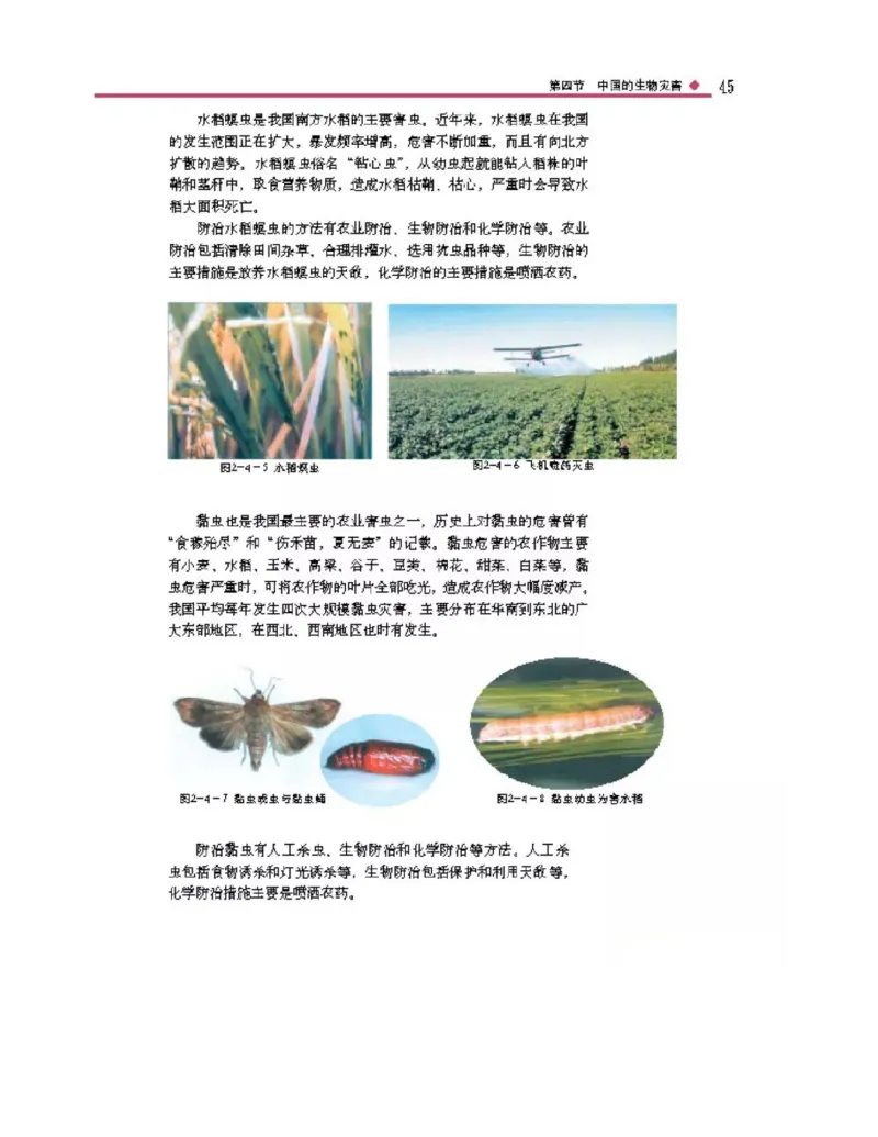 中图版高中地理选修5_4-教培资料-26年最新资料-同步更新_初中高中教资_03科三专项（进去保存报考的学科即可）_02科三专项（笔记真题思维导图教学设计版本二）