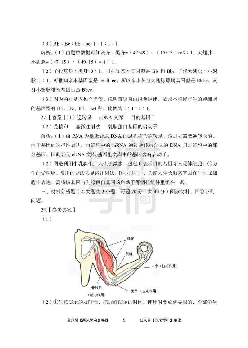 24上中学笔试科目三《学科知识与教学能力》模拟卷2-初24上中生物答案解析-模拟预测卷_4-教培资料-26年最新资料-同步更新_初中高中教资_03科三专项（进去保存报考的学科即可）_初中