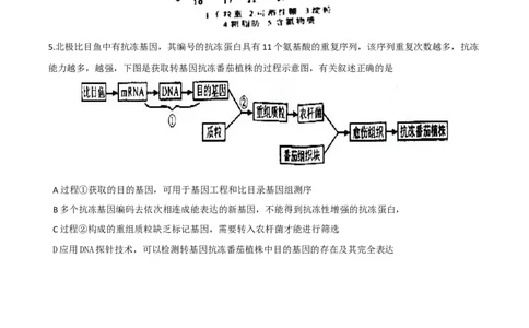 2011年高考生物试卷（四川）（空白卷）_1.高考2025全国各省真题+答案_01.2008-2024全国高考真题（按省份分类）_18.四川_2008-2024&middot;（四川）生物高考真题