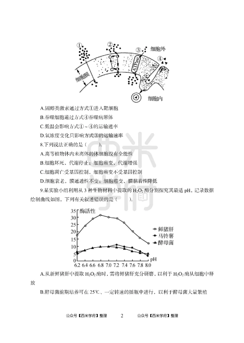 24上-高中笔试科目三《学科知识与教学能力》模拟卷1-高中生物-模拟预测卷_4-教培资料-26年最新资料-同步更新_初中高中教资_03科三专项（进去保存报考的学科即可）_高中