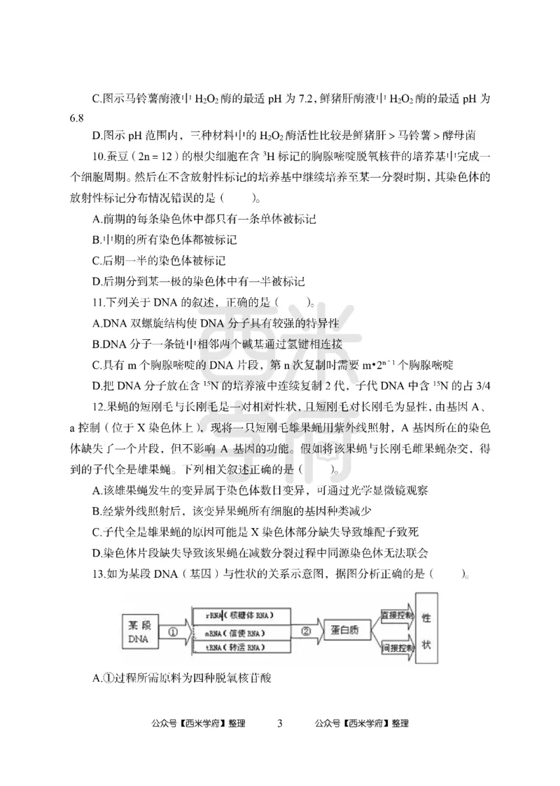 24上-高中笔试科目三《学科知识与教学能力》模拟卷1-高中生物-模拟预测卷_4-教培资料-26年最新资料-同步更新_初中高中教资_03科三专项（进去保存报考的学科即可）_高中